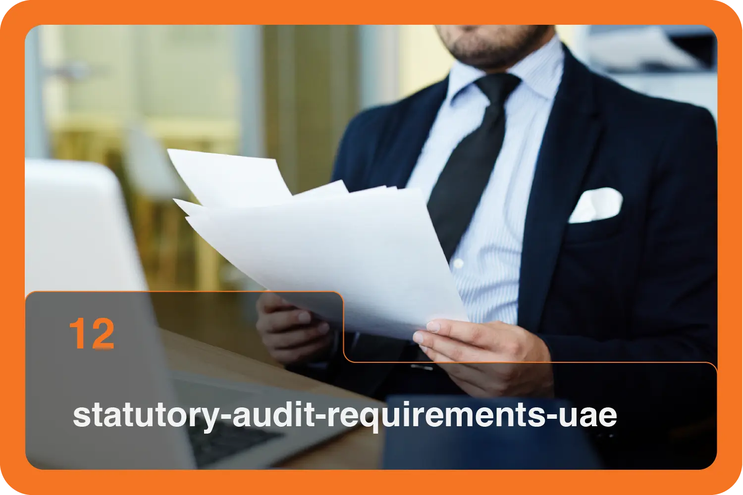 statutory audit requirements